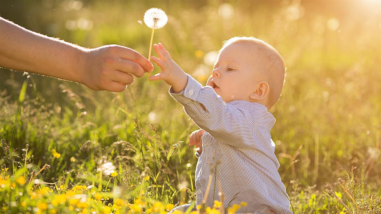 115966-allergybaby1280 115966-allergybaby1280